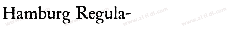 Hamburg Regula字体转换